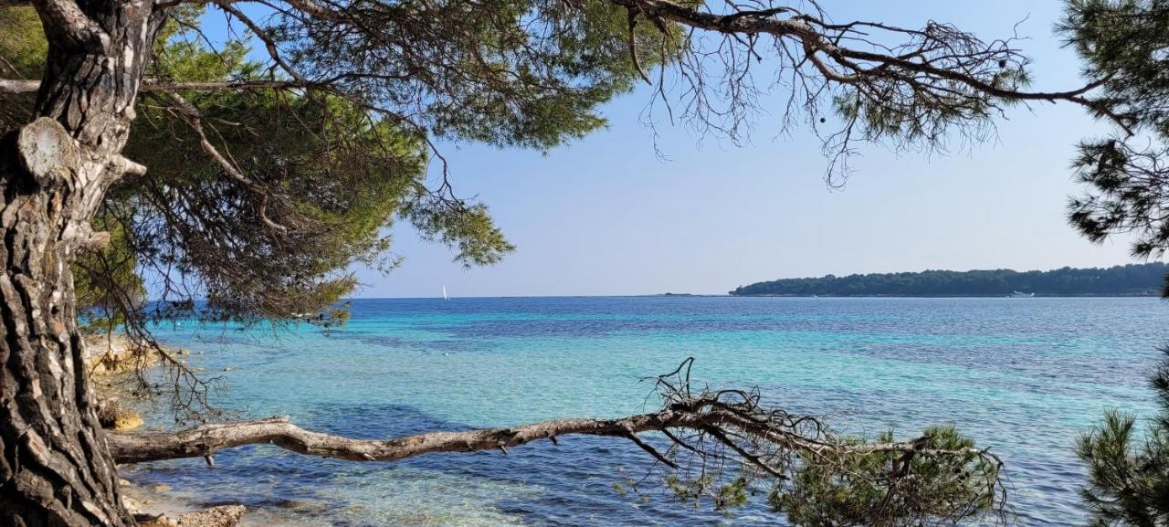 Апартаменты Les Grenadines Du Samedi Au Samedi Антиб Экстерьер фото